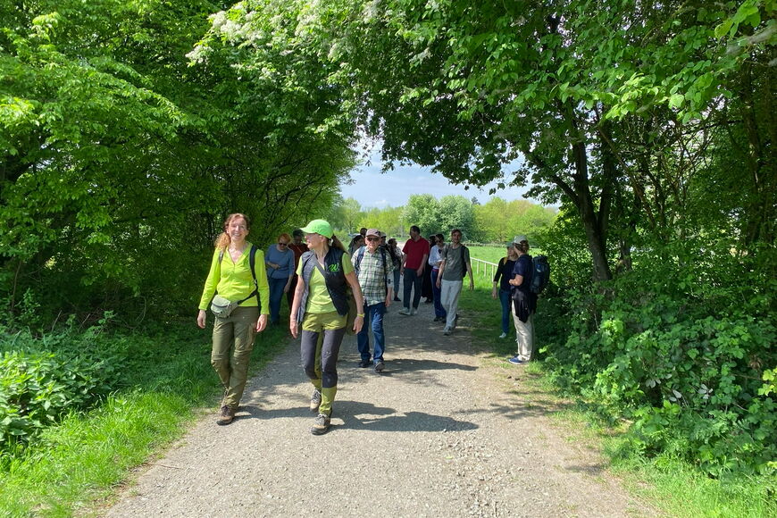 Auf einem von Bäumen und Büschen umsäumten Schotterweg läuft eine Gruppe Wanderer.