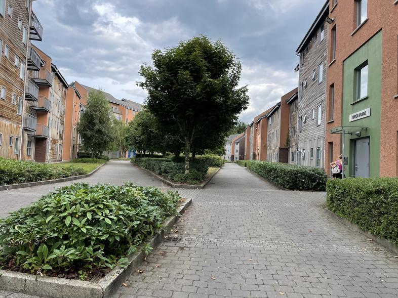 Studentenwohnheim in Irland: Ein breiter, ruhiger Fußweg führt zwischen modernen mehrstöckigen Wohngebäuden hindurch, gesäumt von Büschen und Bäumen.