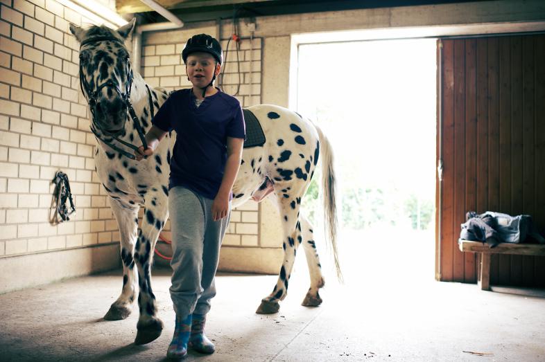 Ein Junge führt ein Pferd im Stall