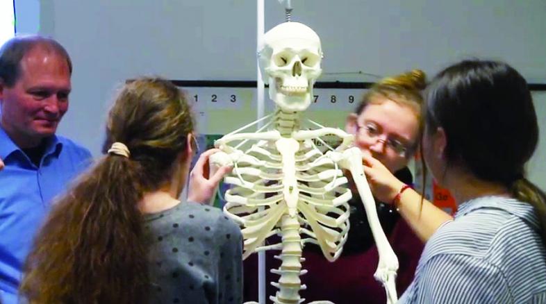 Drei Schülerinnen betasten die Schultergelenke an einem Skelettmodell.