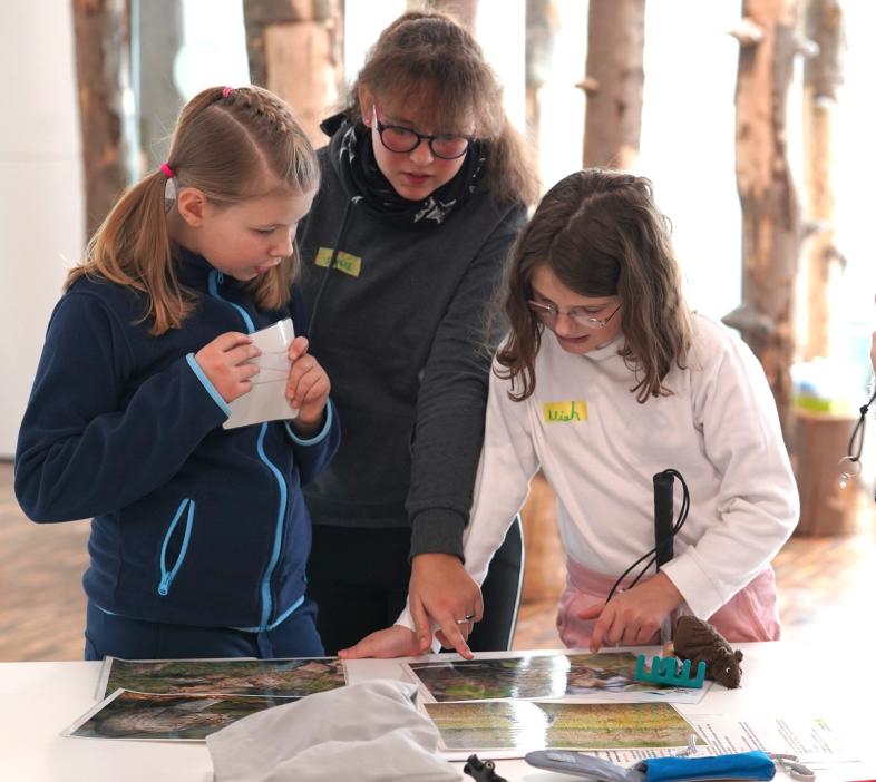 Im Nationalparkzentrum betrachten drei Schülerinnen - eine mit Langstock - Tische, auf denen Fotos liegen. Im Hintergrund sieht man Baumstämme aufrechtstehend. 