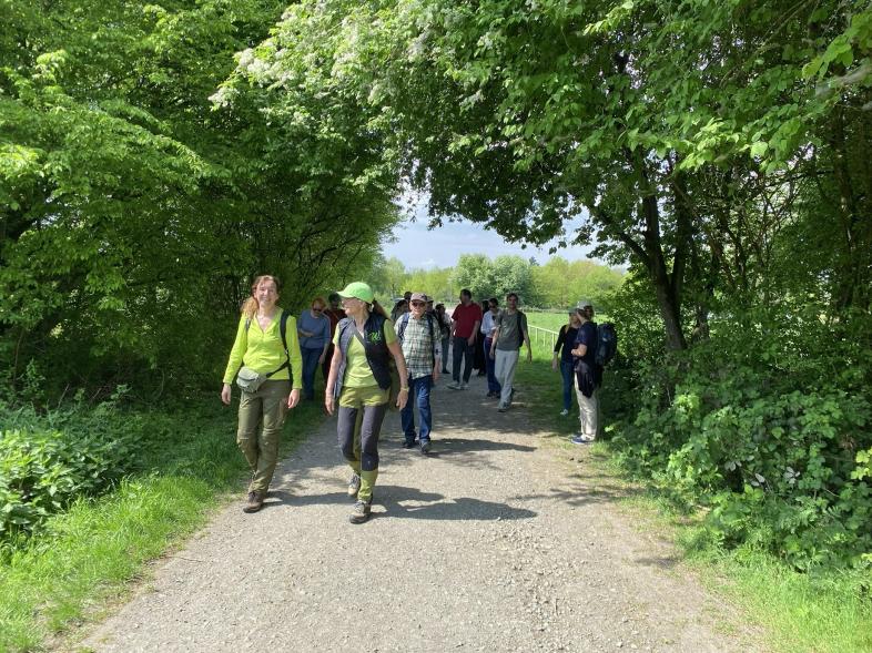 Auf einem von Bäumen und Büschen umsäumten Schotterweg läuft eine Gruppe Wanderer.