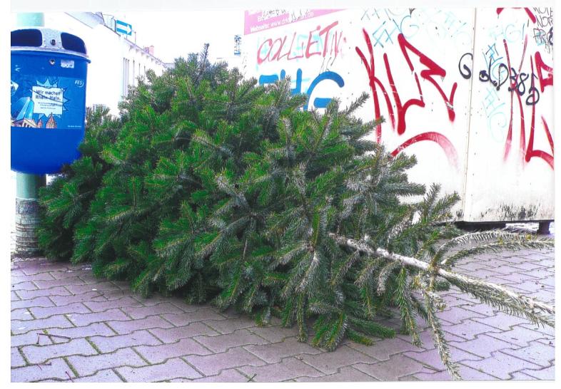 Ein entsorgter Weihnachtsbaum liegt auf der Straße vor Müllcontainern.