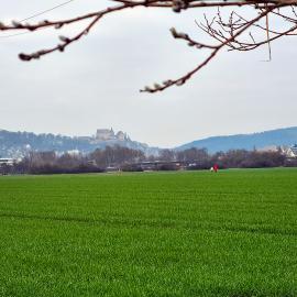Blick über das Cappeler Feld zum Marburger Schloss