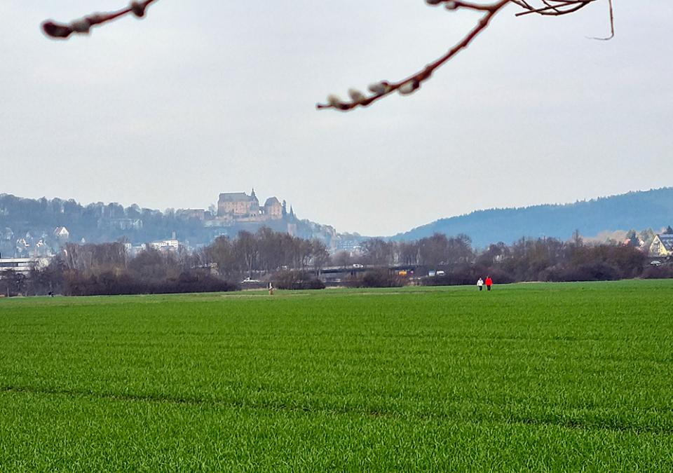 Bild 1 von 15: Blick über das Cappeler Feld zum Marburger Schloss