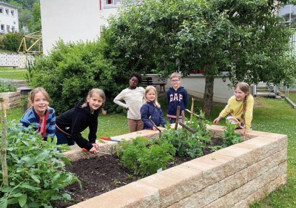 Bild 2 von 6: Kinder am vielfältig bepflanzten Hochbeet